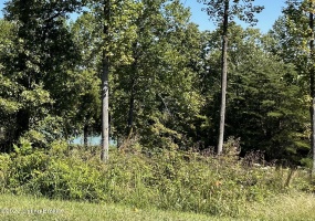 66 Patriots Landing Ln, Falls Of Rough, Kentucky 40119, ,Land,For Sale,Patriots Landing,1645444