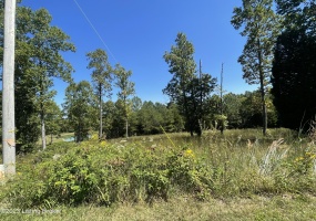 66 Patriots Landing Ln, Falls Of Rough, Kentucky 40119, ,Land,For Sale,Patriots Landing,1645444