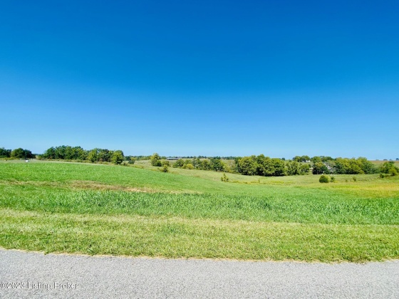 #6 Nancy Hanks Dr, Springfield, Kentucky 40069, ,Land,For Sale,Nancy Hanks,1645518