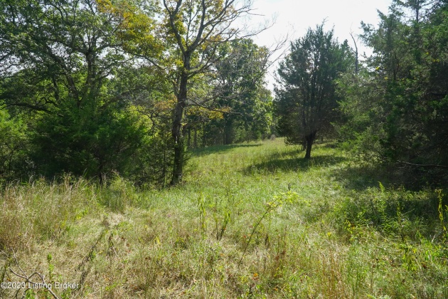 11015 Back Run Rd, Louisville, Kentucky 40299, ,Land,For Sale,Back Run,1645609