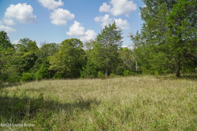 11015 Back Run Rd, Louisville, Kentucky 40299, ,Land,For Sale,Back Run,1645609