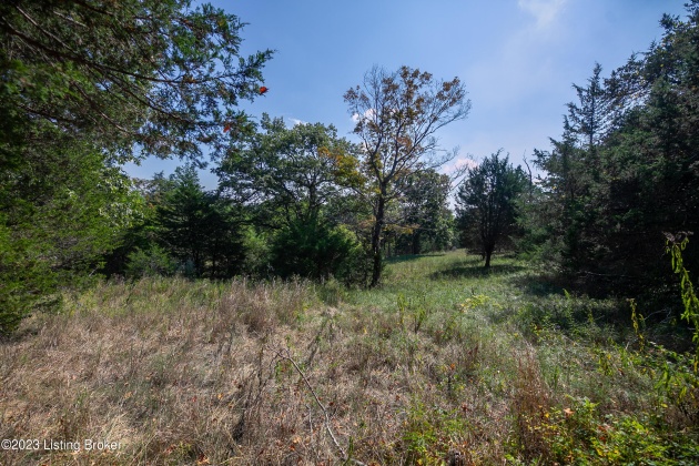 11015 Back Run Rd, Louisville, Kentucky 40299, ,Land,For Sale,Back Run,1645609