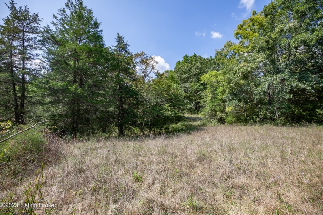 11015 Back Run Rd, Louisville, Kentucky 40299, ,Land,For Sale,Back Run,1645609