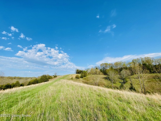 Lot#4 East Fork Rd, Harrodsburg, Kentucky 40330, ,Land,For Sale,East Fork,1645845