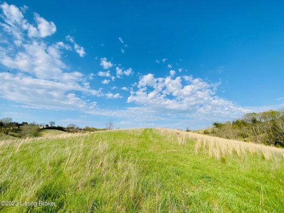 Lot#4 East Fork Rd, Harrodsburg, Kentucky 40330, ,Land,For Sale,East Fork,1645845