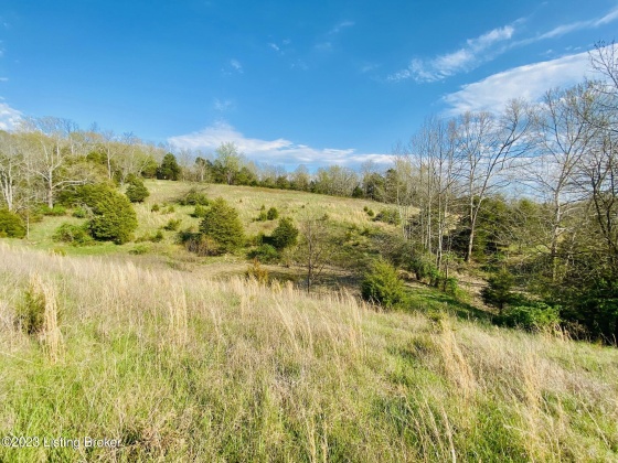 Lot#4 East Fork Rd, Harrodsburg, Kentucky 40330, ,Land,For Sale,East Fork,1645845