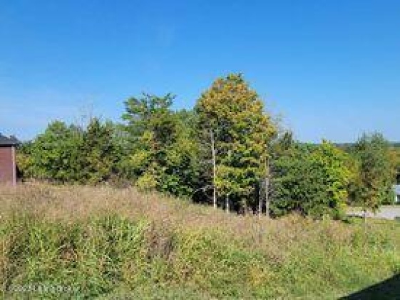 Lot 64B Inglenook Dr, Taylorsville, Kentucky 40071, ,Land,For Sale,Inglenook,1645966