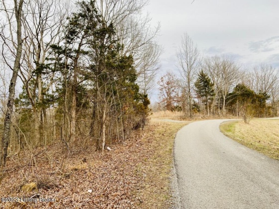 #3 Gordon Ford Rd, Willisburg, Kentucky 40078, ,Land,For Sale,Gordon Ford,1645953