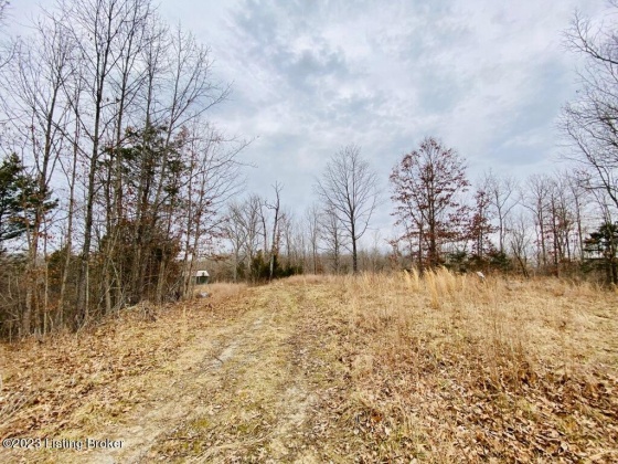 #3 Gordon Ford Rd, Willisburg, Kentucky 40078, ,Land,For Sale,Gordon Ford,1645953