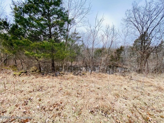 #3 Gordon Ford Rd, Willisburg, Kentucky 40078, ,Land,For Sale,Gordon Ford,1645953