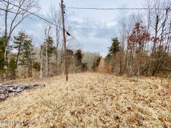 #3 Gordon Ford Rd, Willisburg, Kentucky 40078, ,Land,For Sale,Gordon Ford,1645953