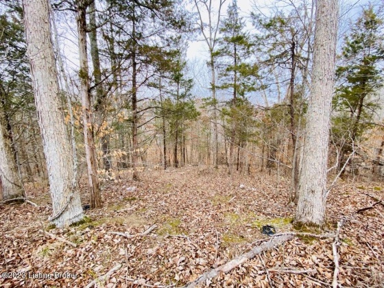 #3 Gordon Ford Rd, Willisburg, Kentucky 40078, ,Land,For Sale,Gordon Ford,1645953