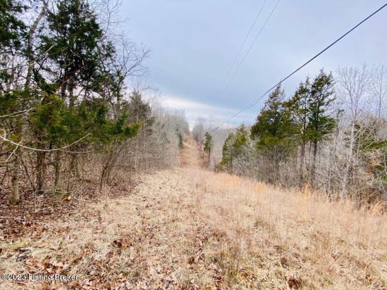 #3 Gordon Ford Rd, Willisburg, Kentucky 40078, ,Land,For Sale,Gordon Ford,1645953