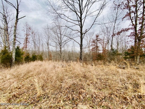 #3 Gordon Ford Rd, Willisburg, Kentucky 40078, ,Land,For Sale,Gordon Ford,1645953