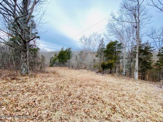 #3 Gordon Ford Rd, Willisburg, Kentucky 40078, ,Land,For Sale,Gordon Ford,1645953