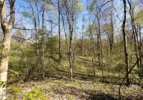 0 Hollaway Cemetery Rd, Williamsburg, Kentucky 40769, ,Land,For Sale,Hollaway Cemetery,1646239