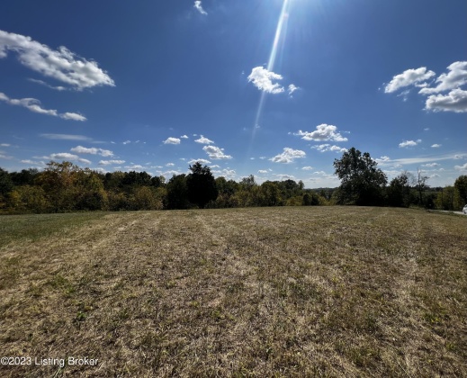 Lot 12 Sycamore Dr, Pendleton, Kentucky 40055, ,Land,For Sale,Sycamore,1646342