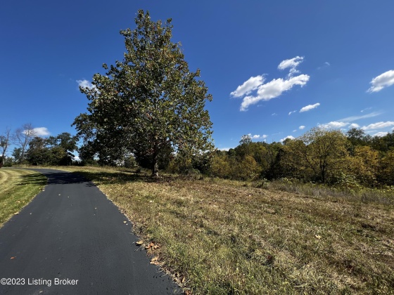 Lot 12 Sycamore Dr, Pendleton, Kentucky 40055, ,Land,For Sale,Sycamore,1646342