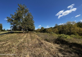 Lot 12 Sycamore Dr, Pendleton, Kentucky 40055, ,Land,For Sale,Sycamore,1646342