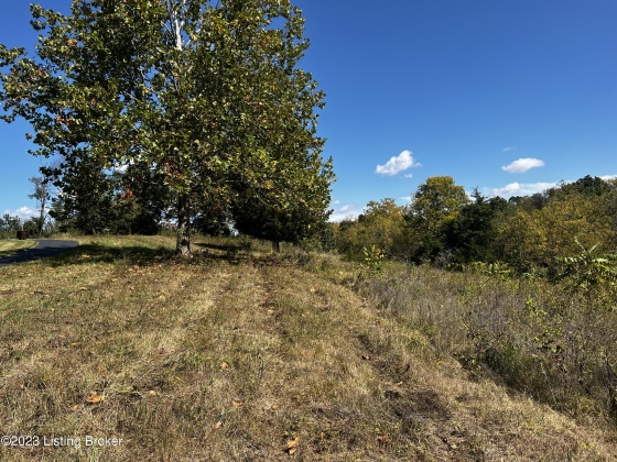 Lot 12 Sycamore Dr, Pendleton, Kentucky 40055, ,Land,For Sale,Sycamore,1646342