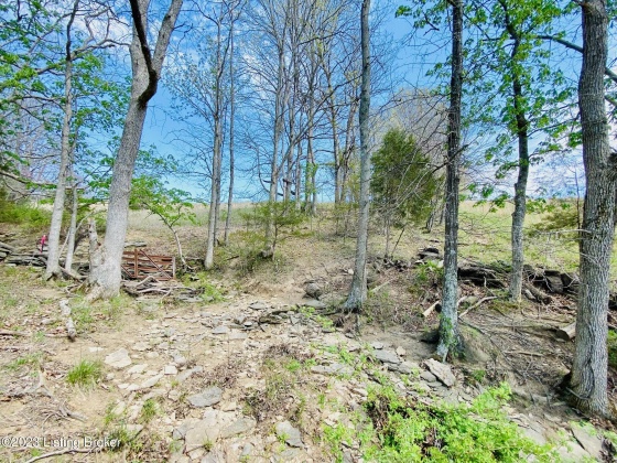 Lot#13 East Fork Rd, Harrodsburg, Kentucky 40330, ,Land,For Sale,East Fork,1646415