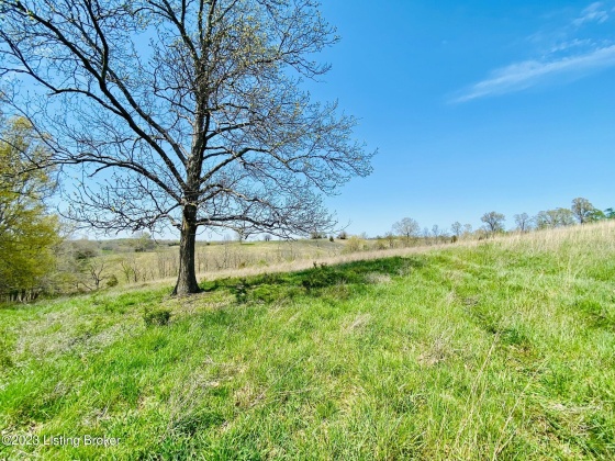 Lot#13 East Fork Rd, Harrodsburg, Kentucky 40330, ,Land,For Sale,East Fork,1646415