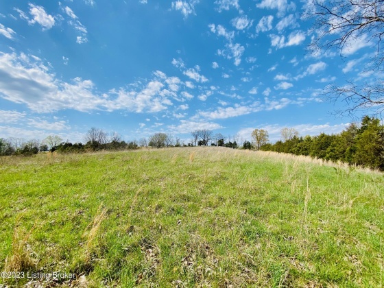 Lot#19 East Fork Rd, Harrodsburg, Kentucky 40330, ,Land,For Sale,East Fork,1646427