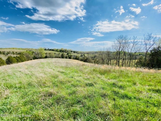 Lot#19 East Fork Rd, Harrodsburg, Kentucky 40330, ,Land,For Sale,East Fork,1646427