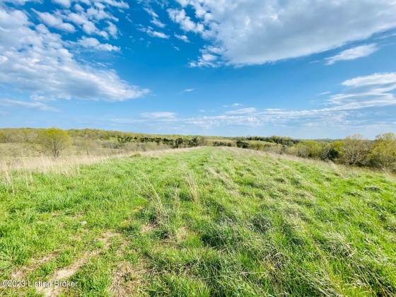 Lot#20 East Fork Rd, Harrodsburg, Kentucky 40330, ,Land,For Sale,East Fork,1646436