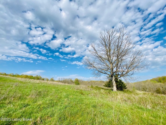 Lot#20 East Fork Rd, Harrodsburg, Kentucky 40330, ,Land,For Sale,East Fork,1646436