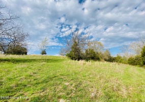 Lot#20 East Fork Rd, Harrodsburg, Kentucky 40330, ,Land,For Sale,East Fork,1646436