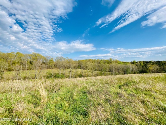 Lot#21 East Fork Rd, Harrodsburg, Kentucky 40330, ,Land,For Sale,East Fork,1646437