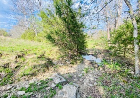 Lot#21 East Fork Rd, Harrodsburg, Kentucky 40330, ,Land,For Sale,East Fork,1646437