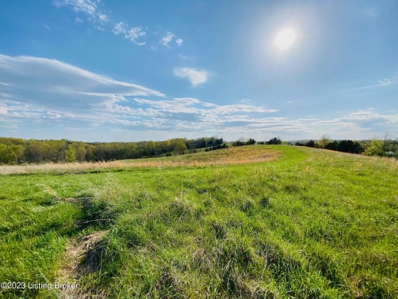 Tr#22 East Fork Rd, Harrodsburg, Kentucky 40330, ,Land,For Sale,East Fork,1646443