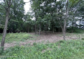 0 Anna Ln, Leitchfield, Kentucky 42754, ,Land,For Sale,Anna,1640087