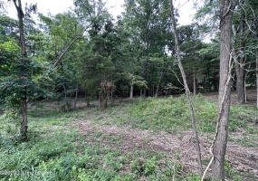 0 Anna Ln, Leitchfield, Kentucky 42754, ,Land,For Sale,Anna,1640087