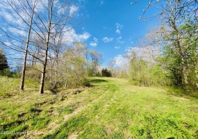 Lot#23 East Fork Rd, Harrodsburg, Kentucky 40330, ,Land,For Sale,East Fork,1646451