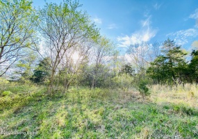 Lot#24 East Fork Rd, Harrodsburg, Kentucky 40330, ,Land,For Sale,East Fork,1646457