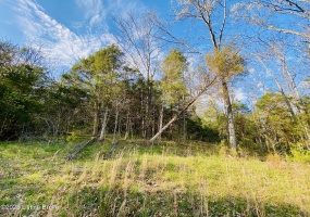 Lot#24 East Fork Rd, Harrodsburg, Kentucky 40330, ,Land,For Sale,East Fork,1646457