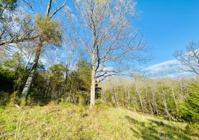 Lot#24 East Fork Rd, Harrodsburg, Kentucky 40330, ,Land,For Sale,East Fork,1646457