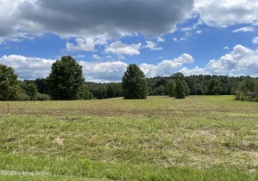 0 Lonnie Ln, Millwood, Kentucky 42762, ,Land,For Sale,Lonnie,1646493