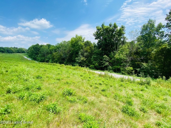 Tr1A Hwy 555, Willisburg, Kentucky 40078, ,Land,For Sale,Hwy 555,1646536