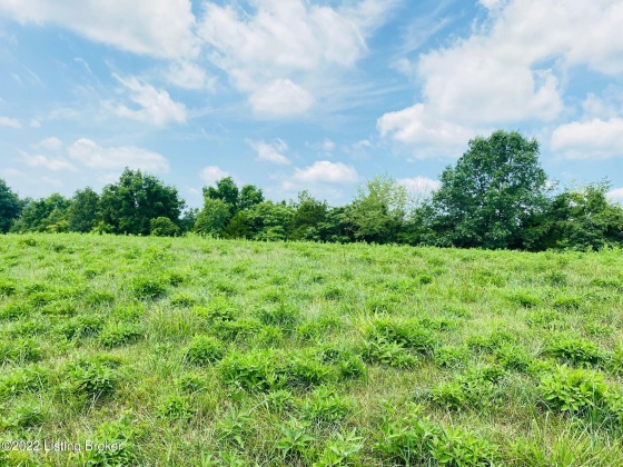 Tr2 Hwy 555, Willisburg, Kentucky 40078, ,Land,For Sale,Hwy 555,1646543