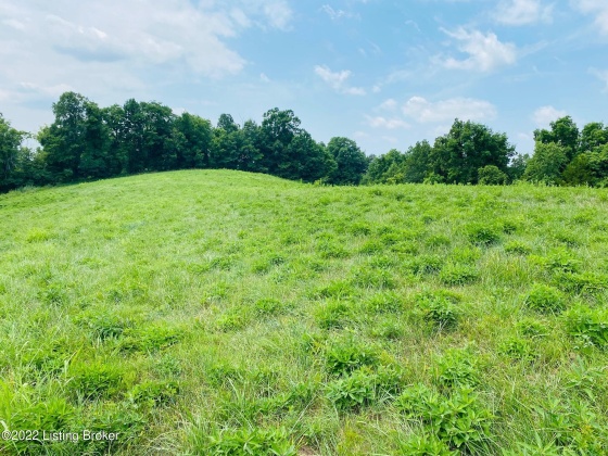 Tr2 Hwy 555, Willisburg, Kentucky 40078, ,Land,For Sale,Hwy 555,1646543