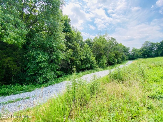 Tr2 Hwy 555, Willisburg, Kentucky 40078, ,Land,For Sale,Hwy 555,1646543