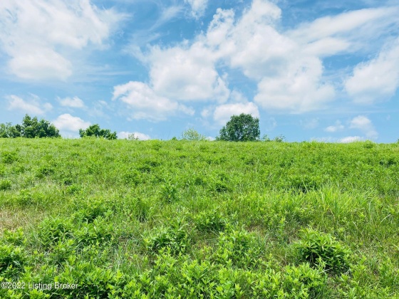 Tr2 Hwy 555, Willisburg, Kentucky 40078, ,Land,For Sale,Hwy 555,1646543