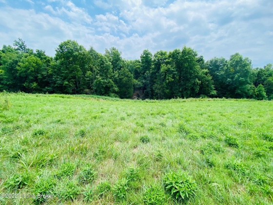 Tr3 Hwy 555, Willisburg, Kentucky 40078, ,Land,For Sale,Hwy 555,1646549