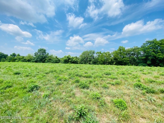 Tr3 Hwy 555, Willisburg, Kentucky 40078, ,Land,For Sale,Hwy 555,1646549