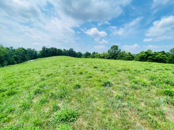 Tr3 Hwy 555, Willisburg, Kentucky 40078, ,Land,For Sale,Hwy 555,1646549