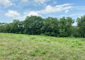 Tr4 Hwy 555, Willisburg, Kentucky 40078, ,Land,For Sale,Hwy 555,1646555